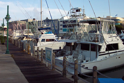 marina software management marina software management