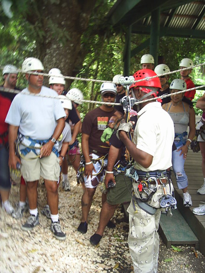 manage rainforest eco tour software eco tour software